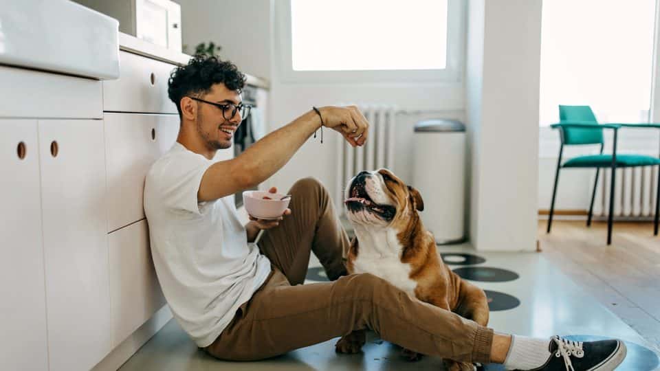 Boy sharing food with dog
