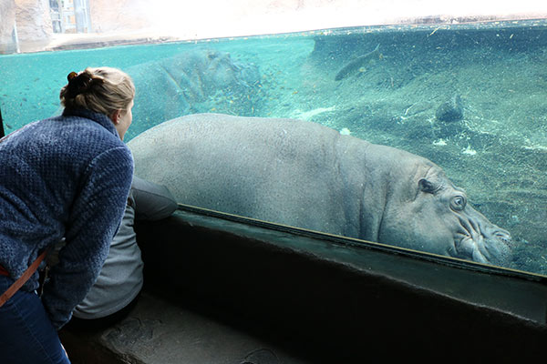 person observing aquatic wildlife