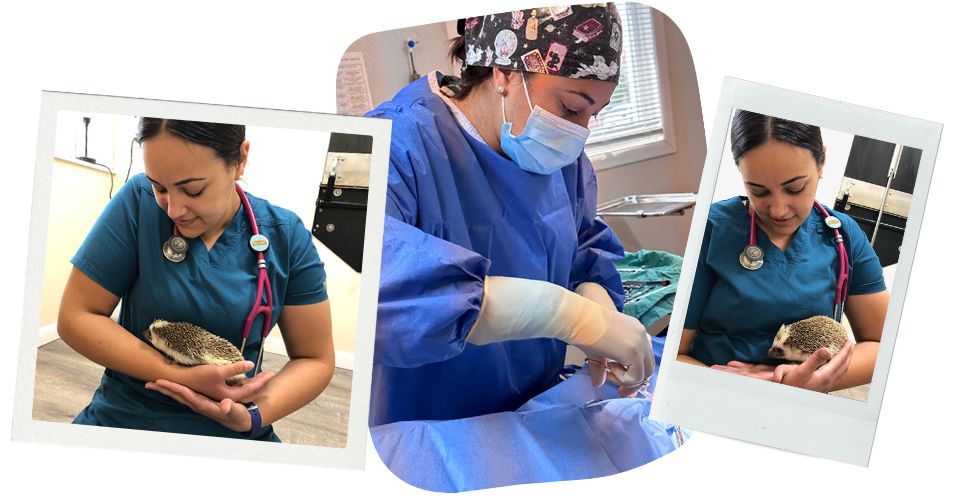 Nicole Singh image collage