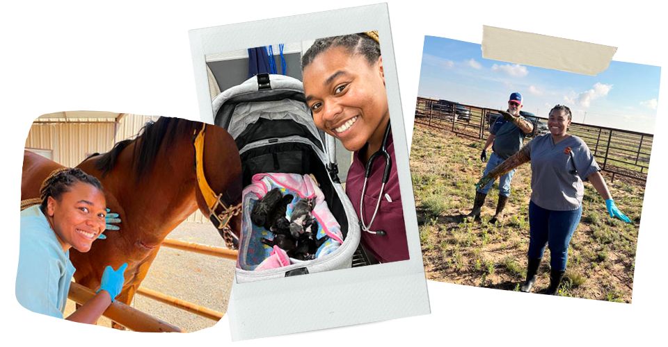 Rachel Elder image collage