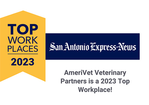 Top Workplaces 2023 badge