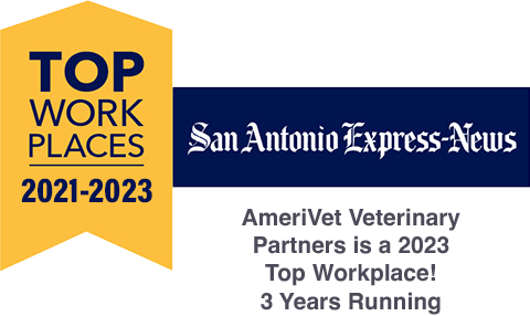 Top Workplaces of 2021-2023 - San Antonio Express-News