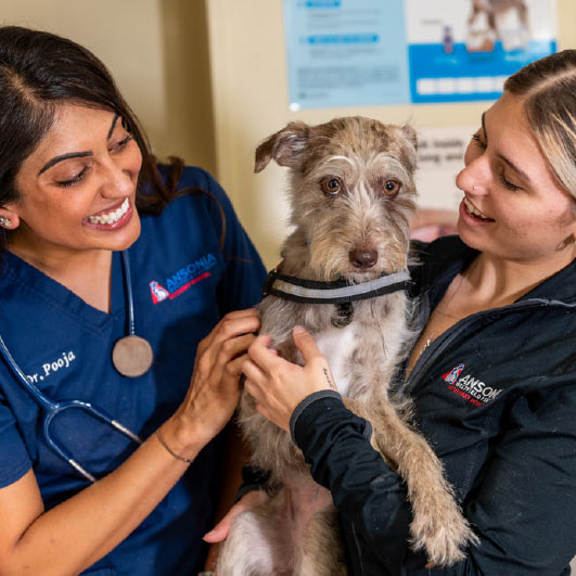 veterinary team members excitedly holding a dog