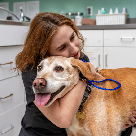 veterinary team member hugging a dog at the clinic