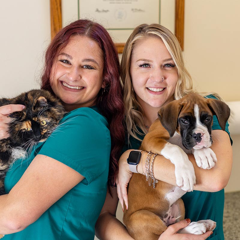two veterinary team members smiling and holding a kitten and puppy