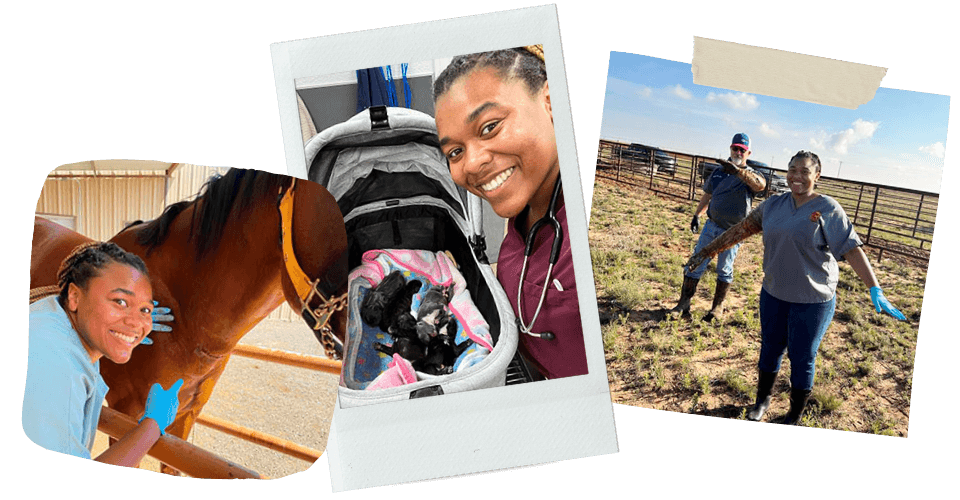 Rachel Elder image collage