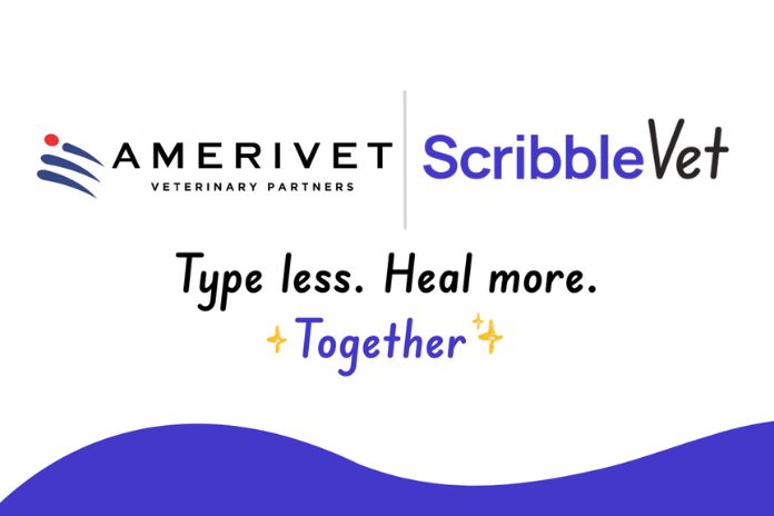 dog and cat in field