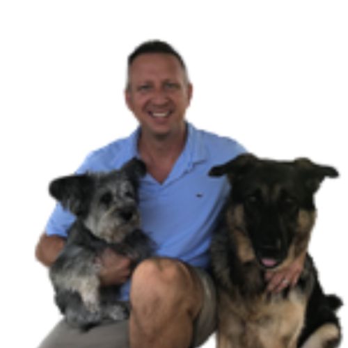 Placeholder showing AmeriVet logo and the text, Photo Coming Soon