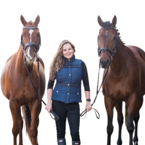 Placeholder showing AmeriVet logo and the text, Photo Coming Soon