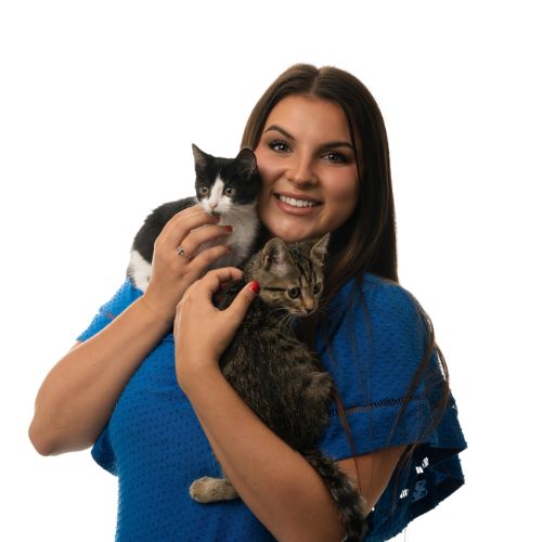 Placeholder showing AmeriVet logo and the text, Photo Coming Soon